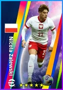 Nicola Zalewski LMF card