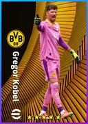 Gregor Kobel GK card