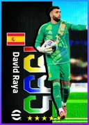 David Raya GK card