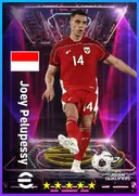بطاقة Joey Pelupessy · DMF