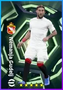 Carte de Nemanja Gudelj · DMF