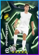 بطاقة David Affengruber · CB