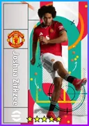 Joshua Zirkzee CF card