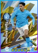 Tijjani Reijnders CMF card