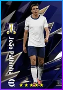 João Palhinha DMF card