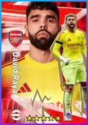 بطاقة David Raya · GK