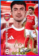 Martín Zubimendi DMF card