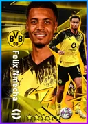 Felix Nmecha DMF card