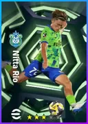 Nitta Rio CF card