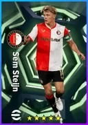 Sem Steijn AMF card