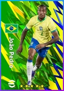 João Pedro CF card