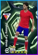Carte de Johnny Cardoso · DMF