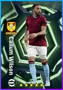 بطاقة Callum Wilson · CF