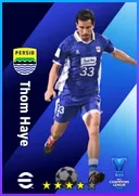 Thom Haye DMF card