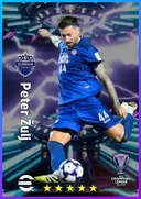 Peter Žulj CMF card