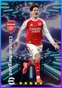 Christian Nørgaard DMF card