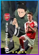 Martin Ødegaard AMF card