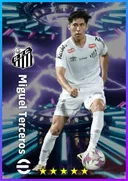Miguel Terceros AMF card