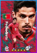 Pedro Neto RWF card