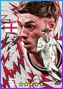 Carte de Cole Palmer · AMF
