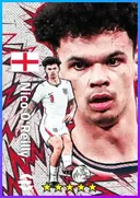 Nico O'Reilly LB card