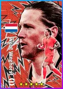Carte de Wout Weghorst · CF