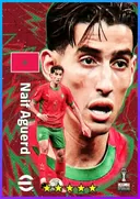 Carte de Nayef Aguerd · CB