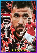 Trézéguet AMF card
