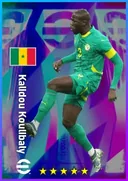 Carte de Kalidou Koulibaly · CB