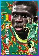 Carte de El Hadji Diouf · LB