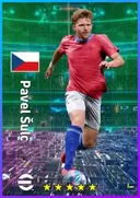 Pavel Šulc AMF card