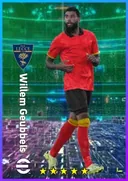 Willem Geubbels CF card