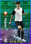 Pepelu DMF card