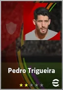 Carte de Pedro Trigueira · GK
