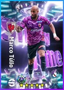 Marco Túlio RWF card