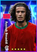 بطاقة Ayyoub Bouaddi · DMF