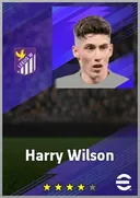 Harry Wilson RMF card