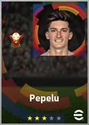 Pepelu DMF card