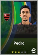 Pedro CF card