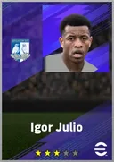 بطاقة Igor Julio · CB