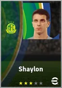 بطاقة Shaylon · AMF