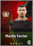 Martin Terrier SS card