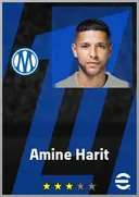 Amine Harit AMF card