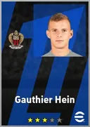 Gauthier Hein AMF card