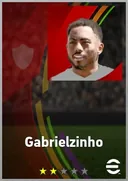 Carte de Gabrielzinho · LWF