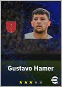 Gustavo Hamer LMF card