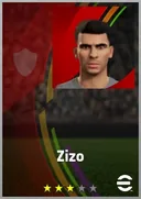 Zizo RWF card