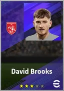 David Brooks RWF card