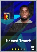 Carte de Hamed Traorè · AMF