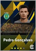 بطاقة Pedro Gonçalves · LWF